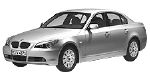 BMW E60 P191C Fault Code